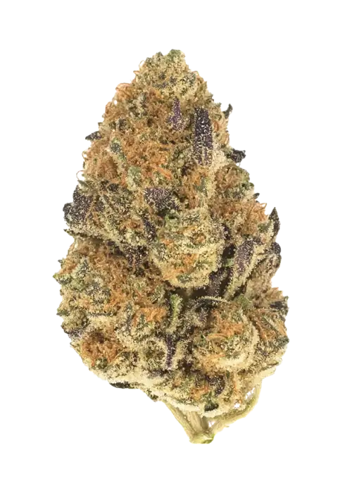 Banana Cream