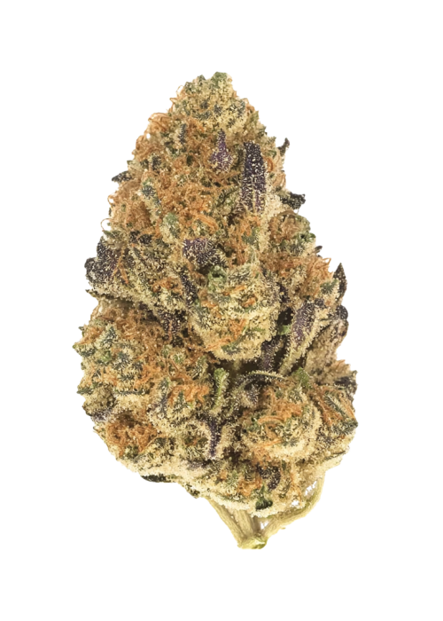Banana Cream