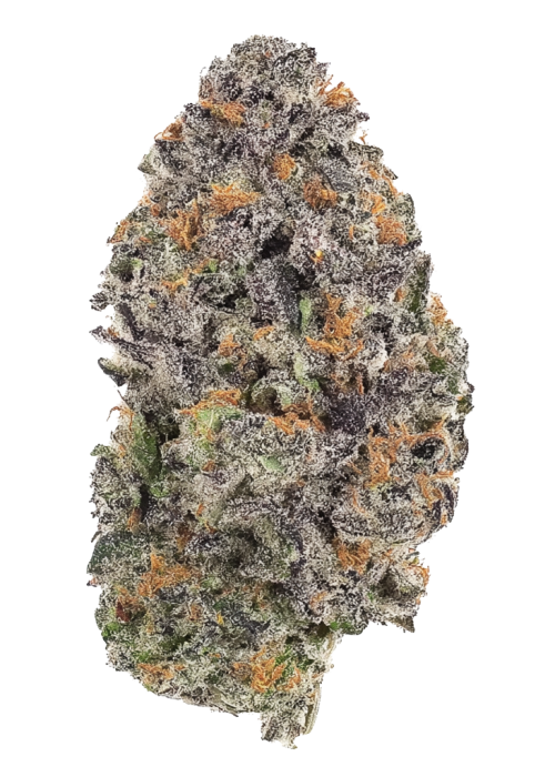Humboldt Frost