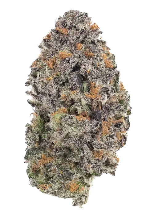Humboldt Frost
