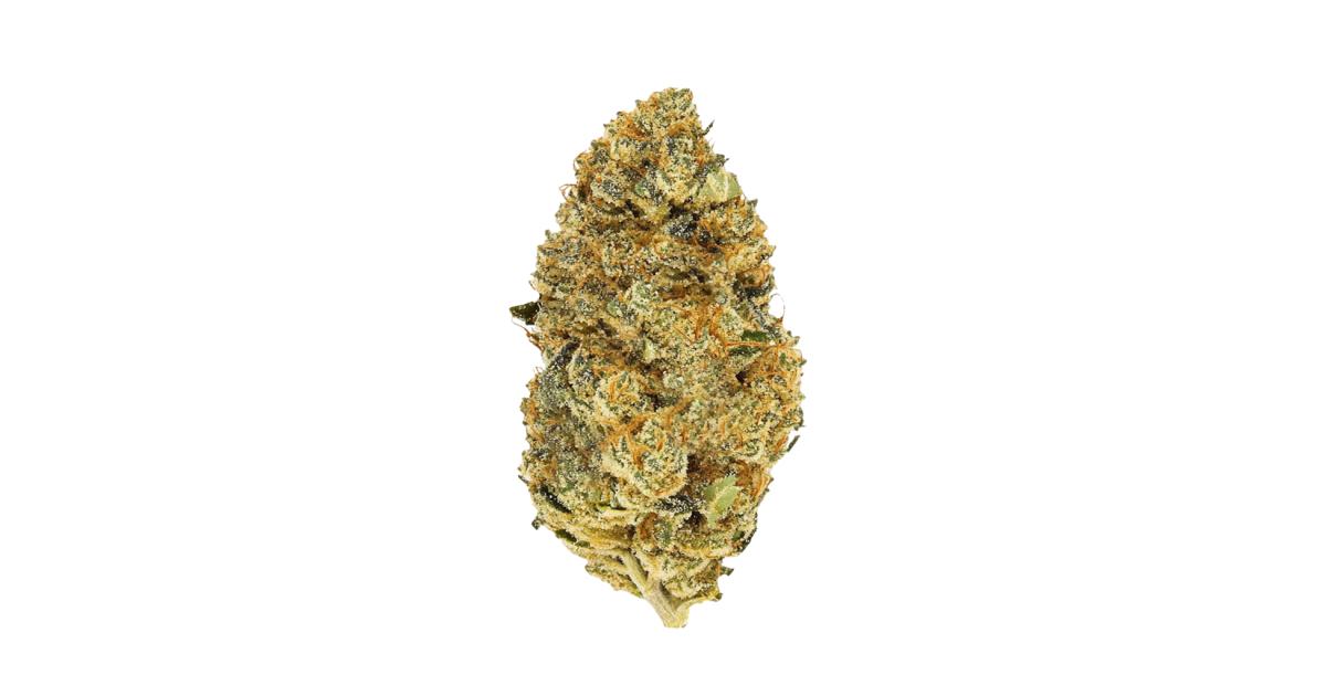 Apple Cobbler Cannabis Strain Information GrowDiaries