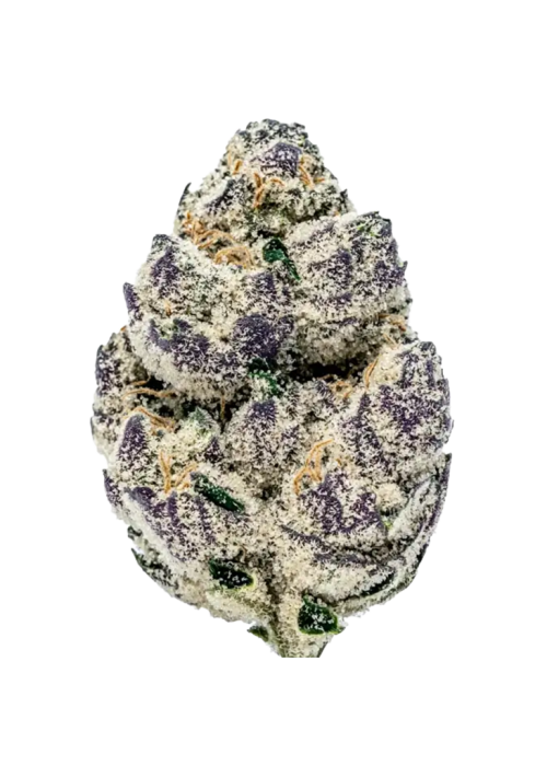 White Cherry