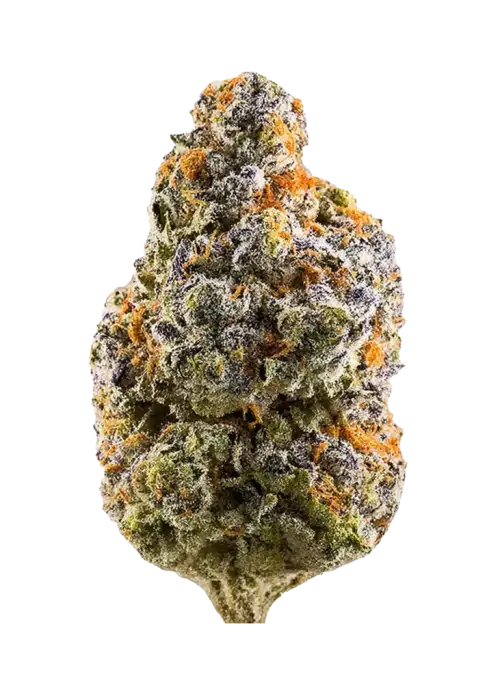 Purple Alien