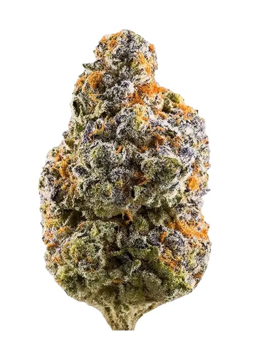 Purple Alien