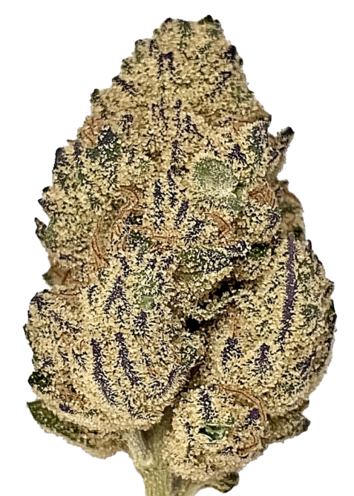 Grape Mint Gas