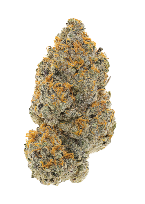 Afghani South African