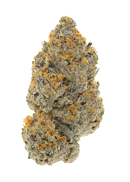 Afghani South African