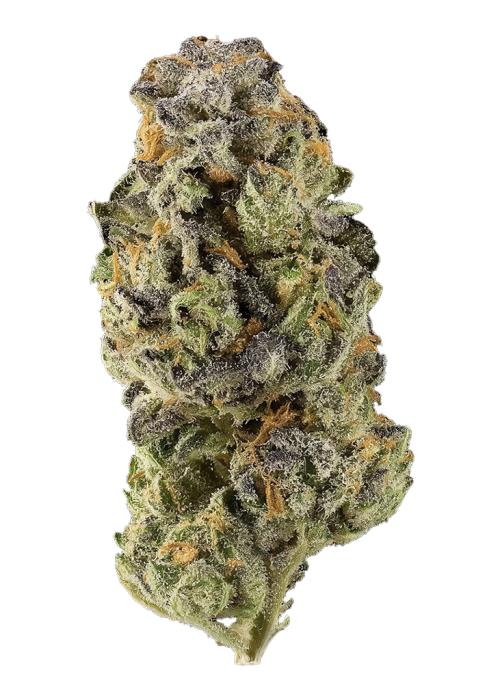 Kush Mints #11