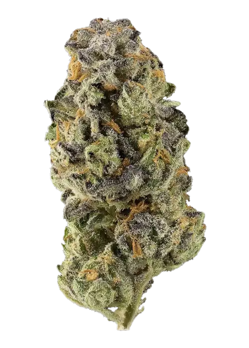 Kush Mints #11