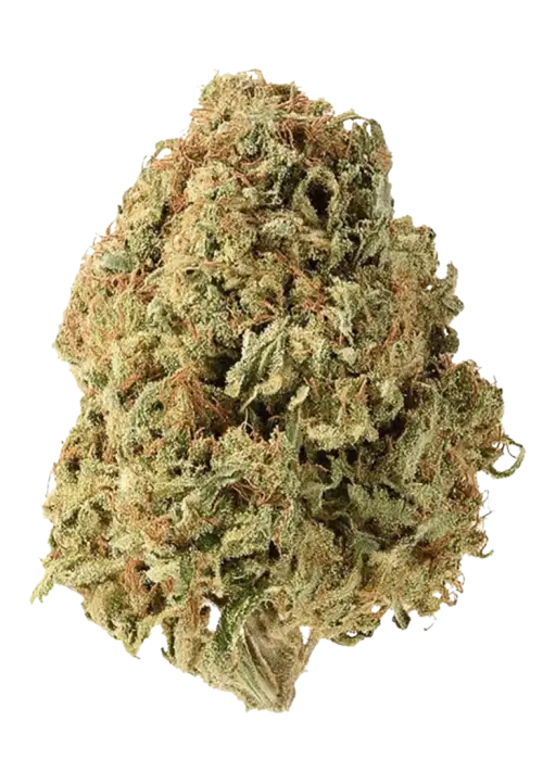 Rose OG