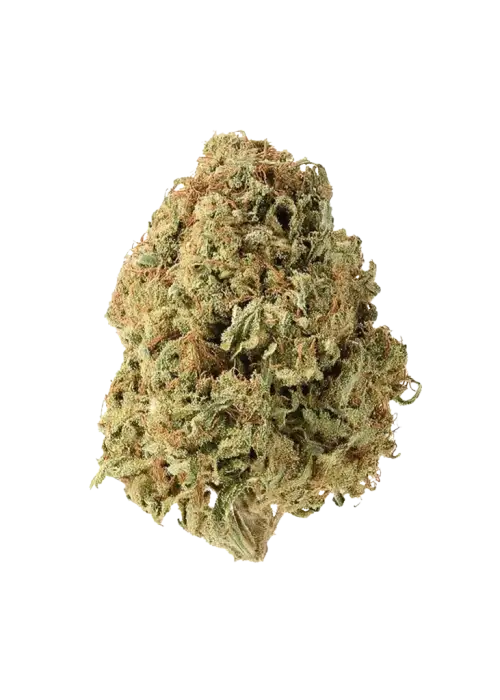 Rose OG