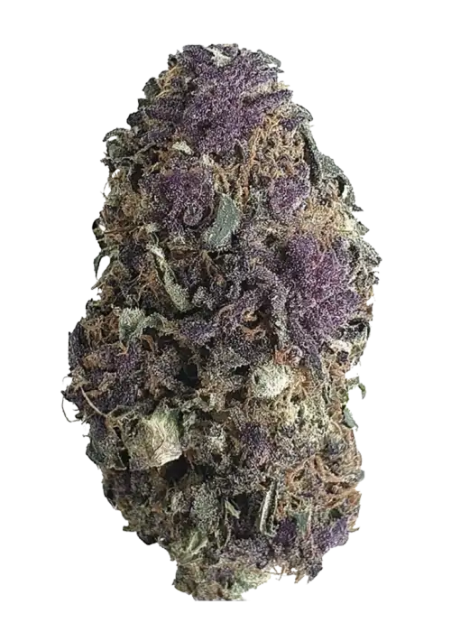 Purple Ice Water