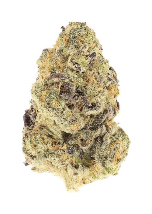 Sour Snow