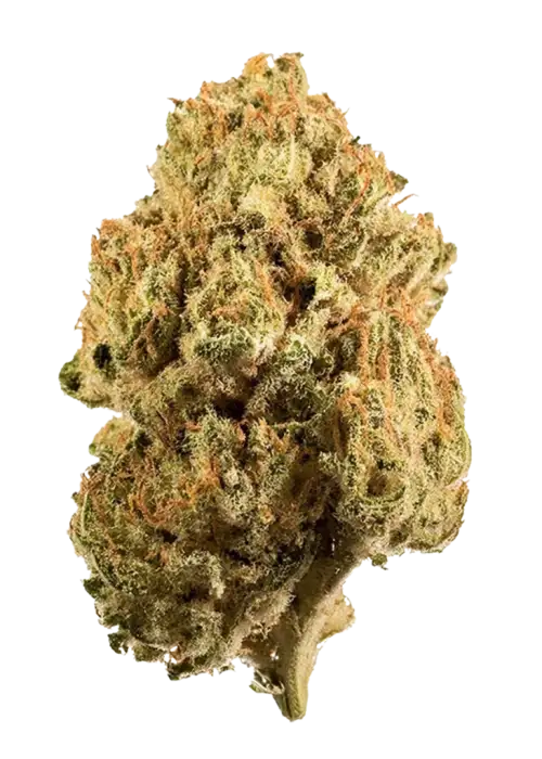 Blue Moon