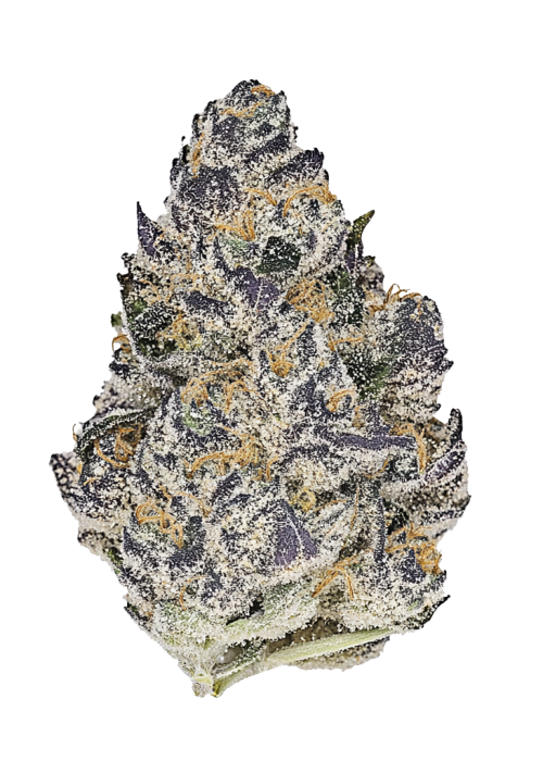 Guava Jam