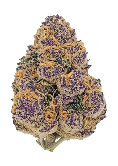 Purple Lemonade FF
