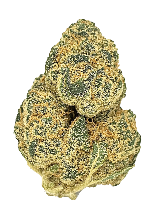 Orange Sherbet FF