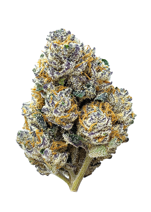 Tropicana Cookies FF