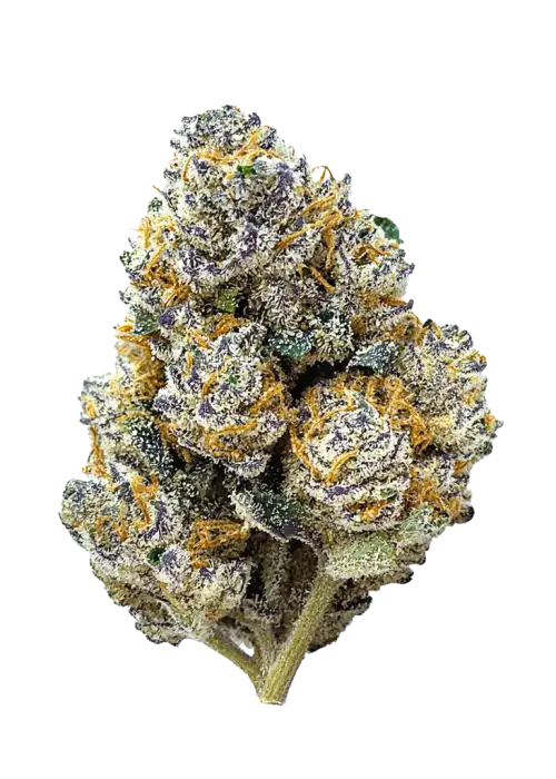 Tropicana Cookies FF