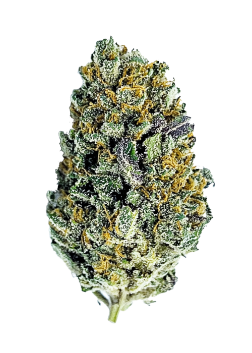 Gorilla Cookies FF