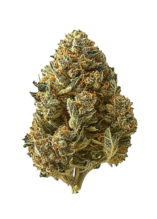 Z-Up Auto
