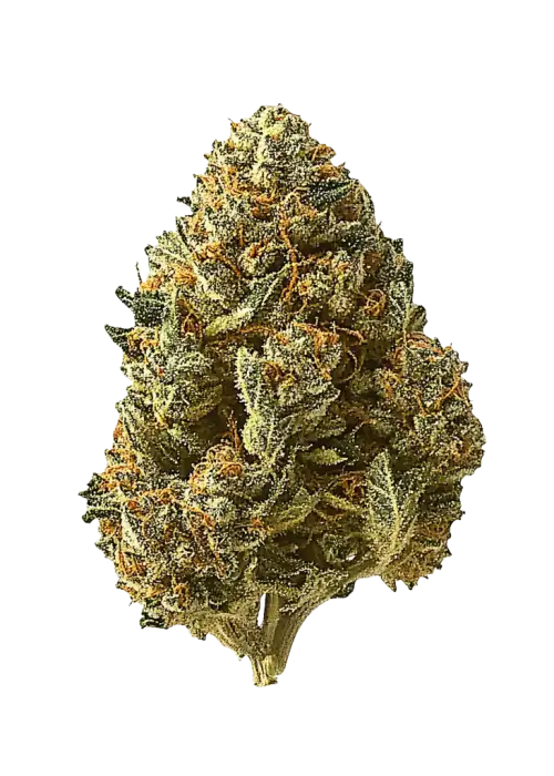 Z-Up Auto