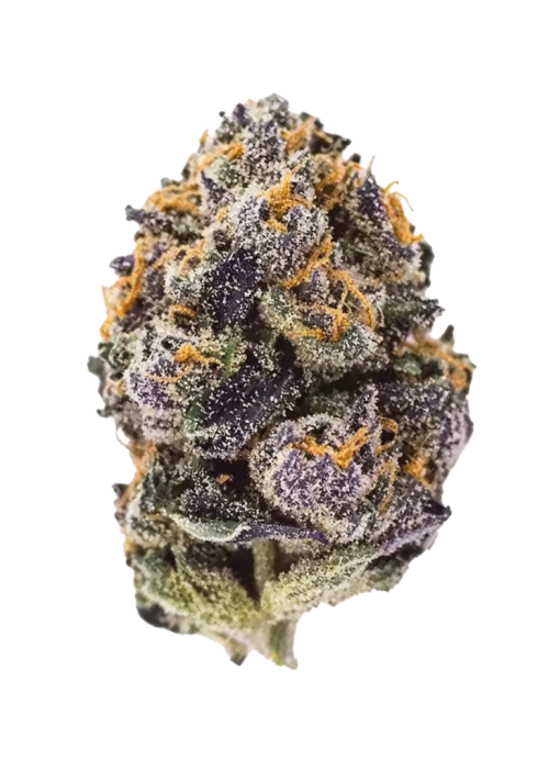 Purple Haze Auto