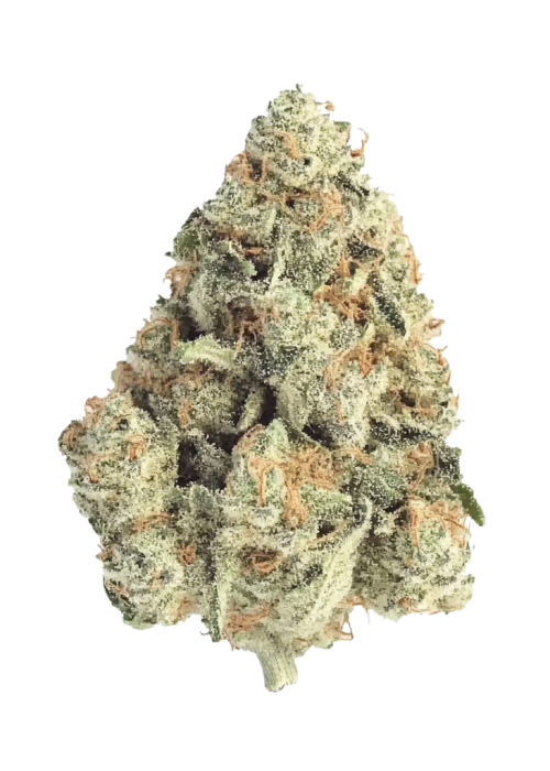 Frostbanger Auto