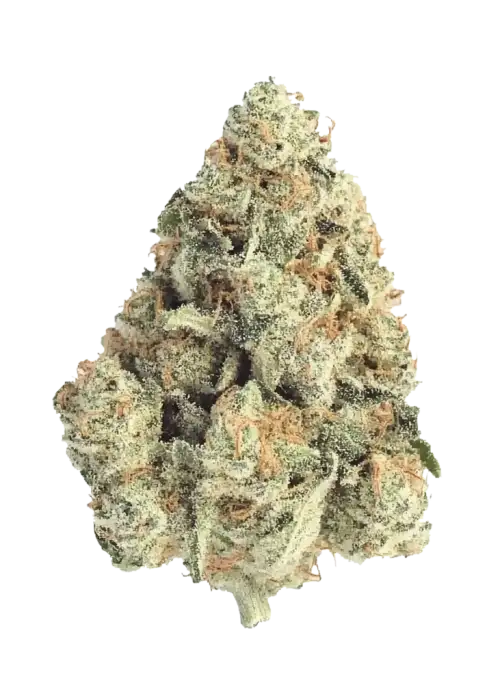 Frostbanger Auto