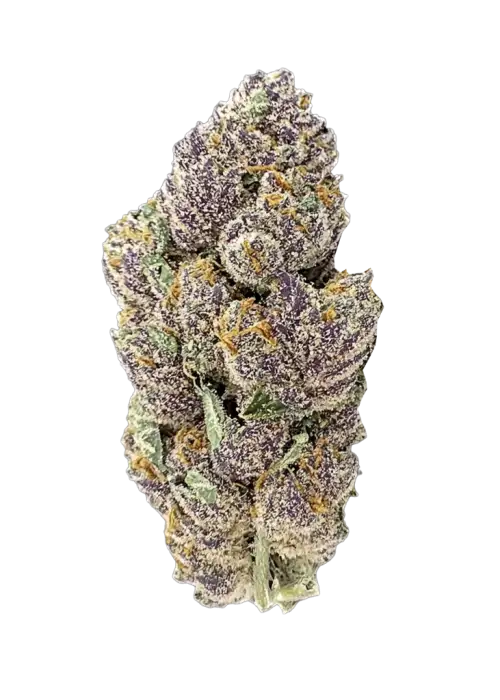 Purple Punch Auto