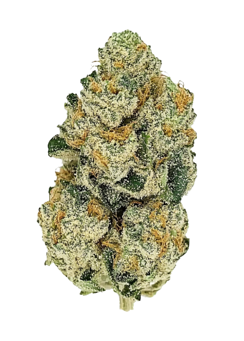 Bruce Banner Auto