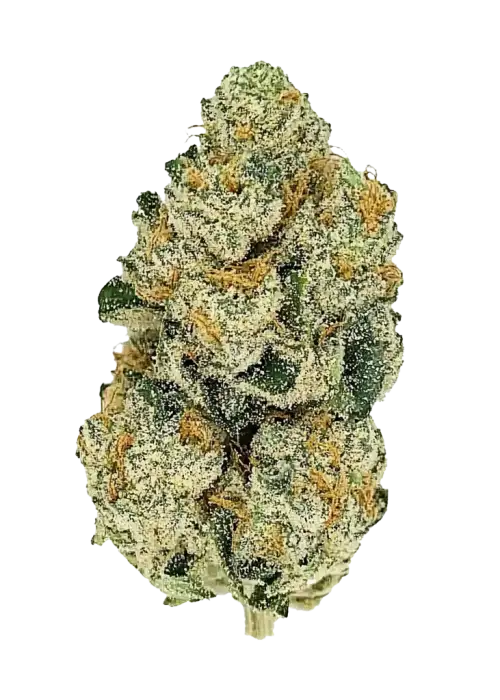 Bruce Banner Auto