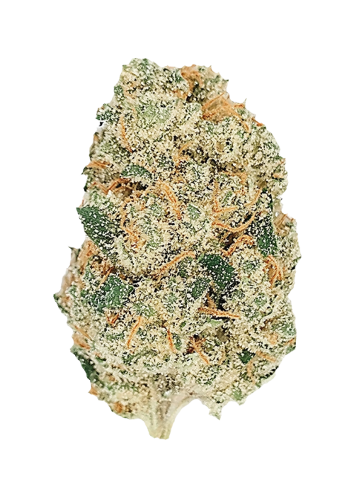Gelato Auto