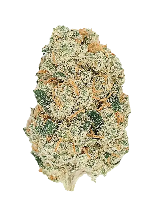 Gelato Auto