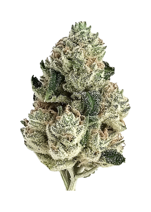 Lemon AK Auto