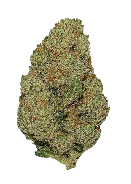 Pineapple Express Auto