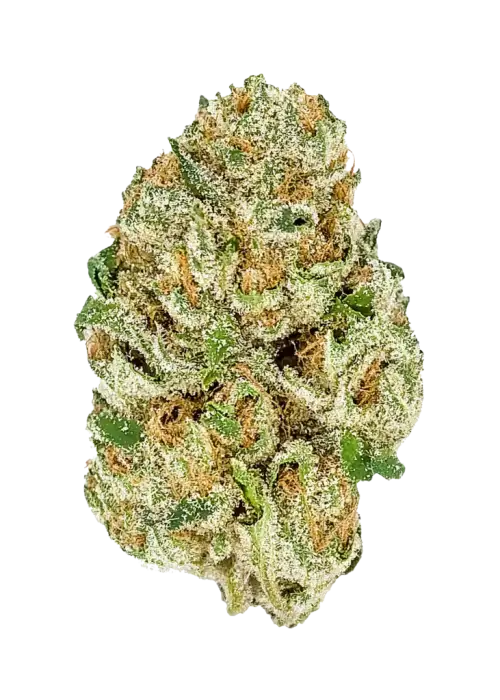Californian Snow Auto