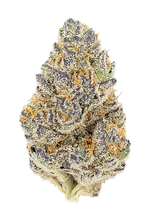 Blue Dream Auto