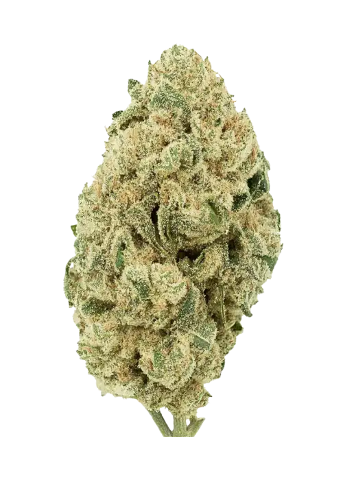 Grapefruit Auto