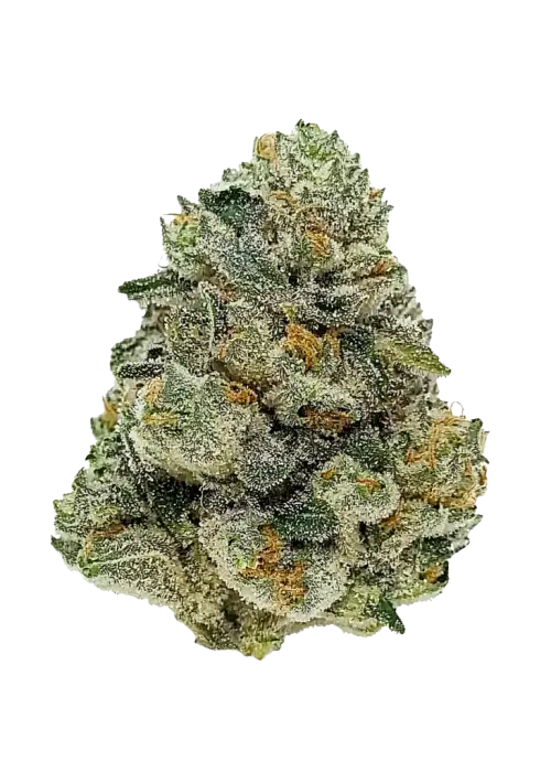 CBD Auto 1:1 (CBD Crack)
