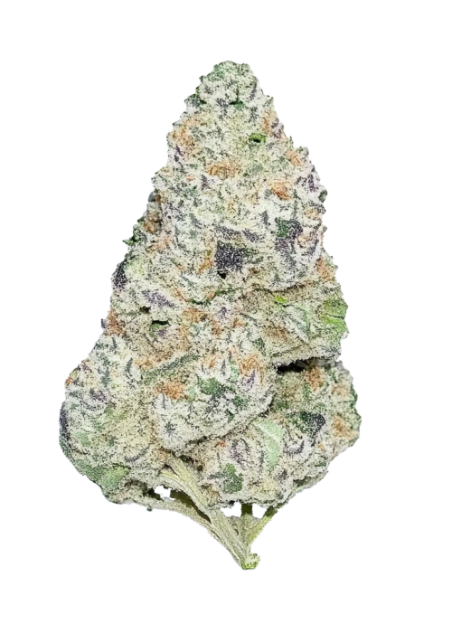 Guava Auto™