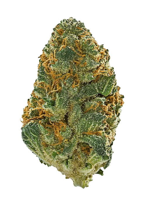 Papaya Cookies Auto™
