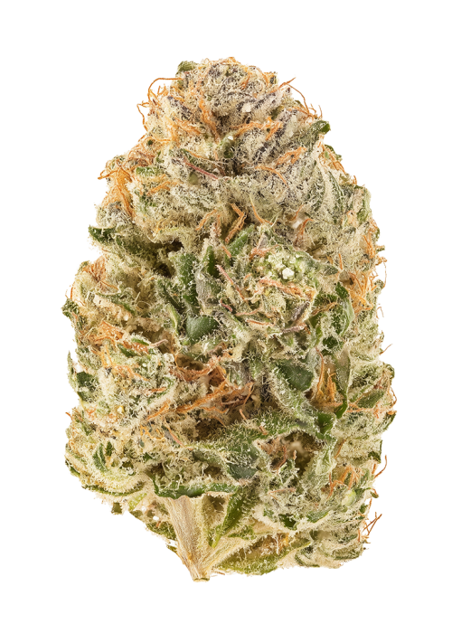 Cherry Haze
