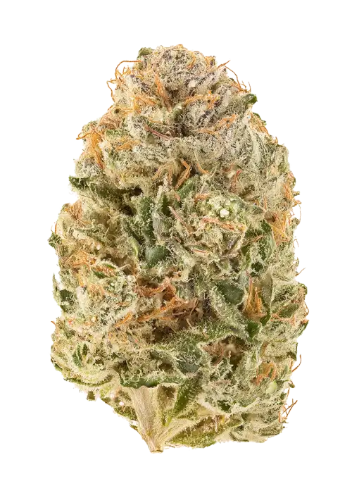 Cherry Haze