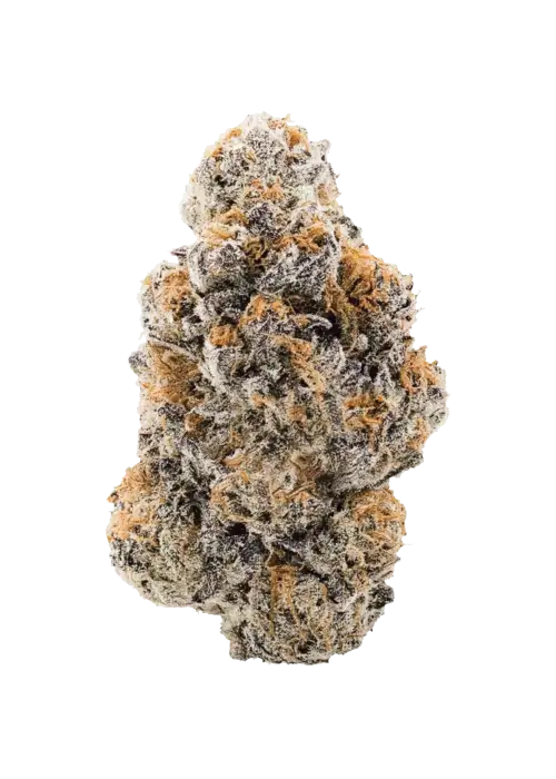 Violet Fog Cannabis Strain Information - GrowDiaries