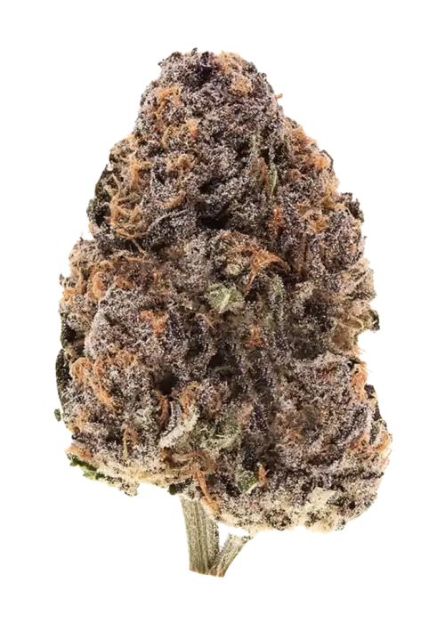 Pink Zkittlez