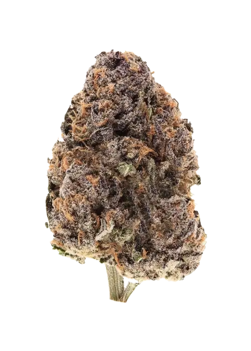 Pink Zkittlez