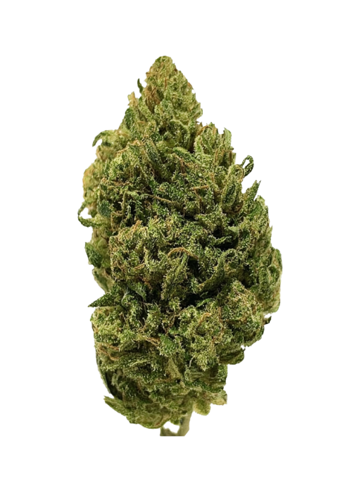 Dog Walker OG