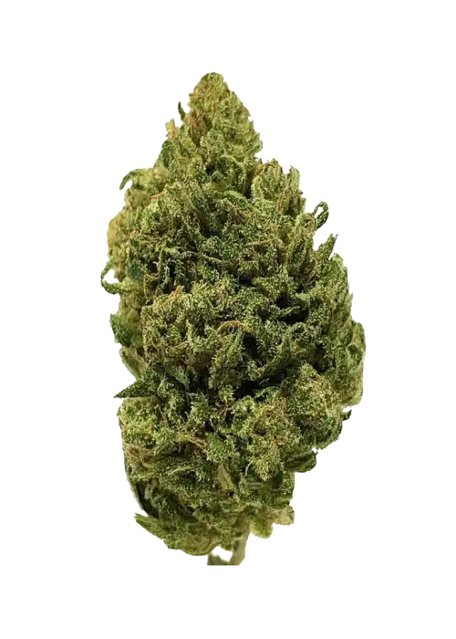 Dog Walker OG