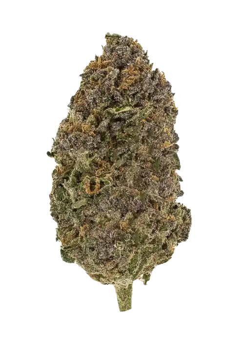 Papaya Runtz